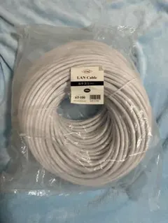 COMON LAN Cable カテゴリー6 100M 6T-100 未使用