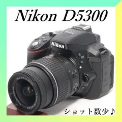Nikon D3300 AF-P DX 18-55mm VR 本体 レンズセット - メルカリ