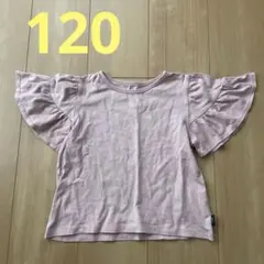 GITA フリルスリーブ Tシャツ ライトパープルのサムネイル