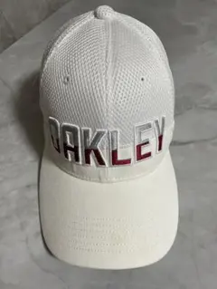 Item thumbnail for item 587b8fab-1aa2-449c-bb45-8261747c4f72