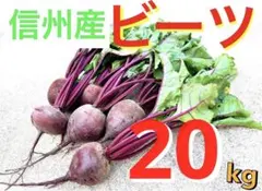 大玉特割‼️ 畑のルビー‼️ 食べる輸血と話題の赤穂ビーツ 20kg - メルカリ