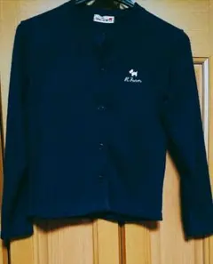 Item thumbnail for item e3403423-f561-40ab-aad8-fda55d1f21c1