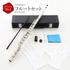 新品 未使用 送料無料 フルート 白銅製 初心者向け 学生 練習用 入門セットのサムネイル