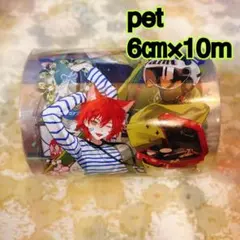 海外マスキングテープ巻売り 野生時間 人物マステ petテープ