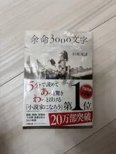 余命3000文字 村崎蒼海