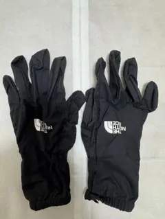 THE NORTH FACE ブラックグローブ 約24cm 防水