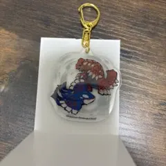 포켓몬 レジェンドリサーチ アクリルキーホルダー グラードン カイオーガ