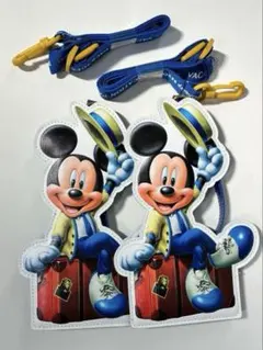 【値下げ】バケパ　チケットホルダー2個のサムネイル