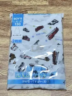 Item thumbnail for item 4cc8c755-e692-4407-a104-cfa87554688b