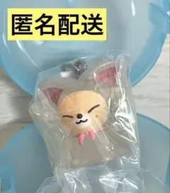 Stray Kids SKZOO めじるしアクセサリー アイエン/フォクシニー