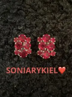 SONIARYKIELレッドストーン クラスター イヤリングのサムネイル