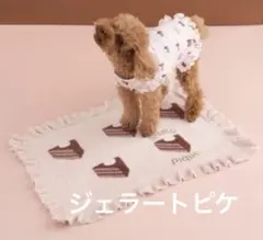 ジェラートピケ‼️「CAT＆DOG」オータムケーキジャガードブランケット‼️