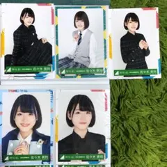 日向坂46 生写真 佐々木美玲 5枚セット