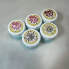 ネイルカラー 5色セット プロ用商材