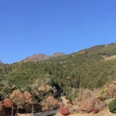 ロンパース2着セット