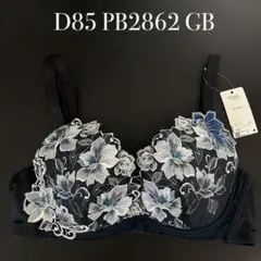 D85 PB2862 GB ワコール　ウイング　レシアージュ ブラジャーのサムネイル