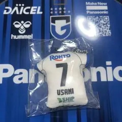 Item thumbnail for item 9fe08506-29c2-4642-a30c-f4e5de7ac179