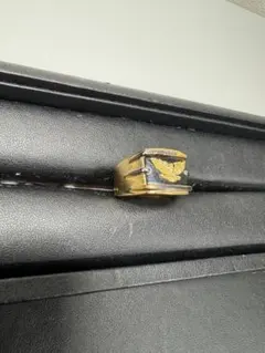 Item thumbnail for item ff081dd1-b0cc-4094-afde-f5824a2c02f7