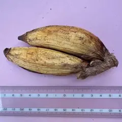 ヒュッゲ ૮꒰˶´˘`˵꒱ა様 リクエスト 2点 まとめ商品