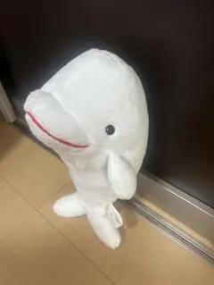 ベルーガ ぬいぐるみ シロイルカ