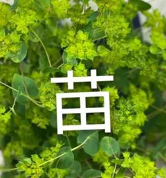 ももりぃ様 リクエスト 4点 まとめ商品