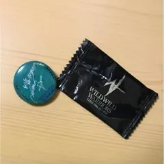 NESMITH 缶バッチ