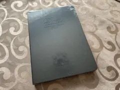 Item thumbnail for item 6d6cf988-4bcd-49b1-871f-85047b77ac01