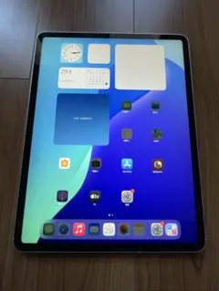イ*チ様 ipad pro12.9inch 4世代　128GB WIFI 美品