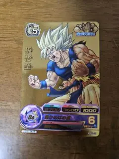 ルーシィ sp gdpb 46  孫悟空 psa9 セット ルーシィ sp gdpb 46 孫悟空 psa9 セット ルーシィ sp gdpb 46