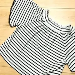アース ボーダー カットソー Tシャツ earth music&ecology