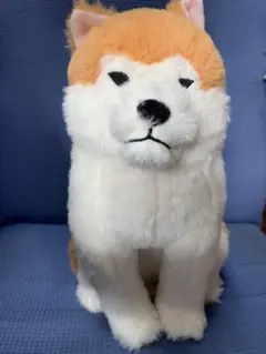 2026年最新】秋田犬 ほっこりの人気アイテム - メルカリ