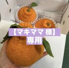 【マキママ 様】専用