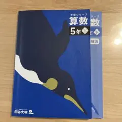 四谷大塚 2025年 下 6年生 テキスト Amazon.co.jp: 予習シリーズ 国語 6年下 有名校対策 改訂版