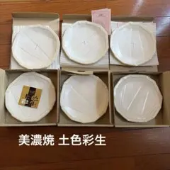 美濃焼 土色彩生 AYAKO KOSHINO 波状模様 皿 三箱　合計6枚のサムネイル