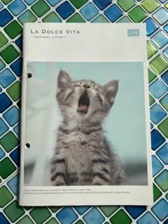 La Dolce Vita 猫デザインノート　　A5sizeノート２冊セット