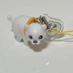 おぱんちゅうさぎ　チワワ