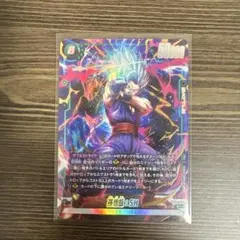 孫悟飯:SH フュージョンワールド　SR⭐︎