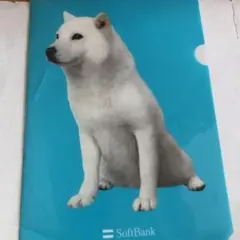 ソフトバンク　白いお父さん犬　クリアファイル