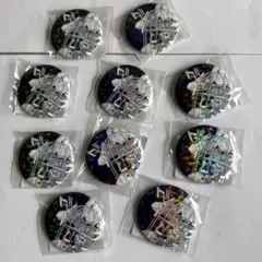 ハイキュー!! 日向翔陽 孤爪研磨オールスター缶バッジ 10個セット