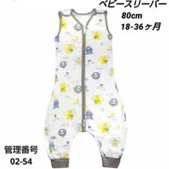 Item thumbnail for item c7bb76ef-67cb-4c7e-9ff0-6ae99fc9442e