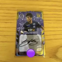 2026年最新】オンサイトカード サンフレッチェ広島の人気アイテム