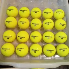 ロストボール DNA 20球