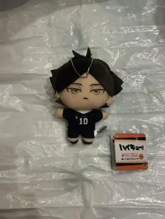 新品未使用 角名倫太郎 ハイキュー‼︎ みにコレ！ぬいぐるみマスコット5①