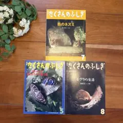 月刊たくさんのふしぎ 4冊セット 2024年7月-10月 - メルカリ