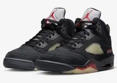 NIKE WMNS AIR JORDAN 5 RETRO GTX ゴアテックス