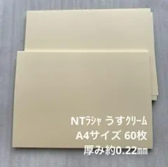 NTラシャ うすクリーム A4サイズ 60枚