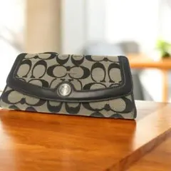 Item thumbnail for item eaa08766-349d-4bb3-af9b-ae3d8061f7e1