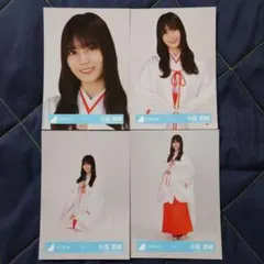 日向坂46 小坂菜緒 巫女 4種コンプ