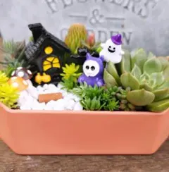 ストロベリー様 リクエスト 2点 まとめ商品