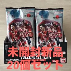 【新商品】日本代表バレーボールチームツインウエハース 未開封新品20個セット